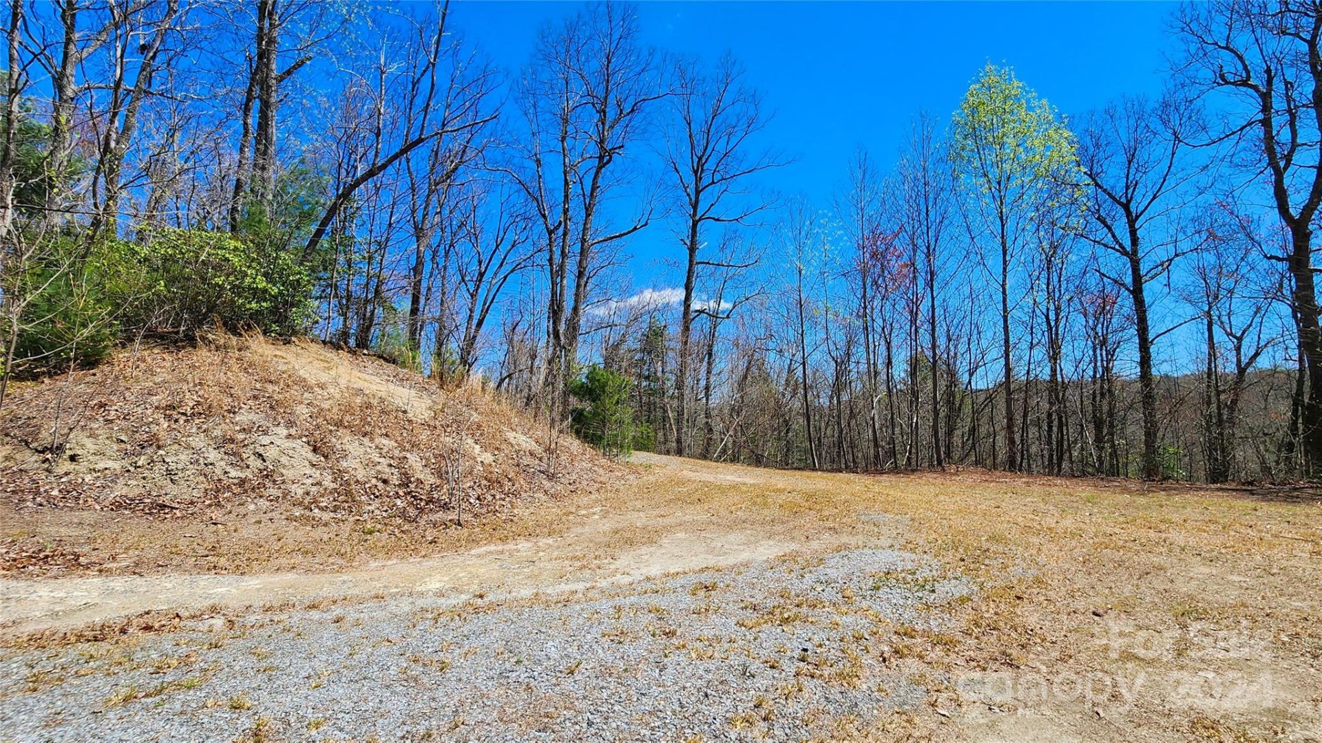 Property image 3 at 99999 Old Chestnut Lane, Hendersonville, NC 28739