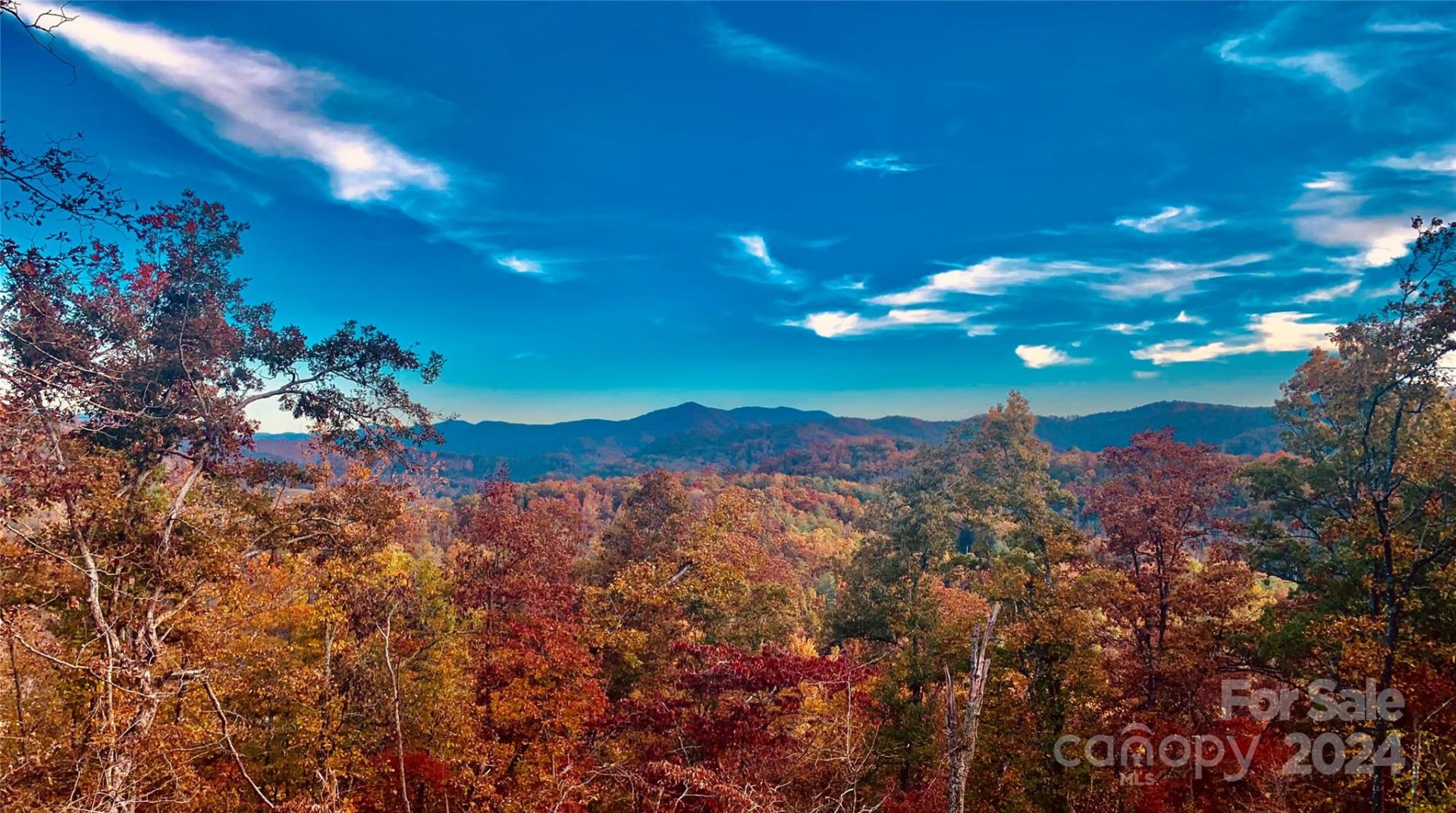Lot 4 Osprey Mountain Way