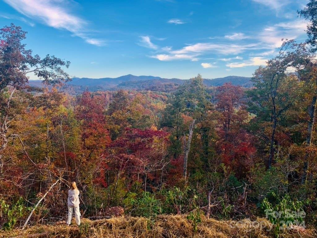 Property image 2 at Lot 4 Osprey Mountain Way, Sylva, NC 28779