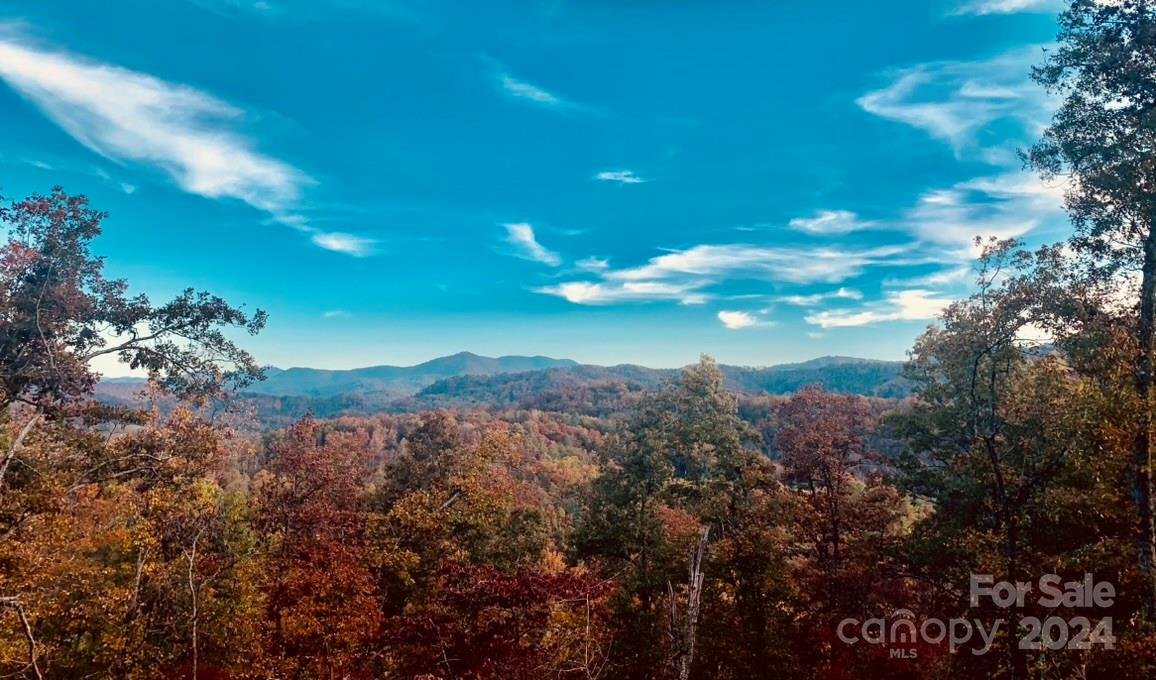 Property image 3 at Lot 4 Osprey Mountain Way, Sylva, NC 28779