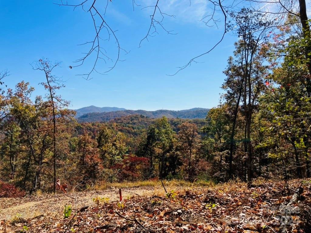 Property image 4 at Lot 4 Osprey Mountain Way, Sylva, NC 28779