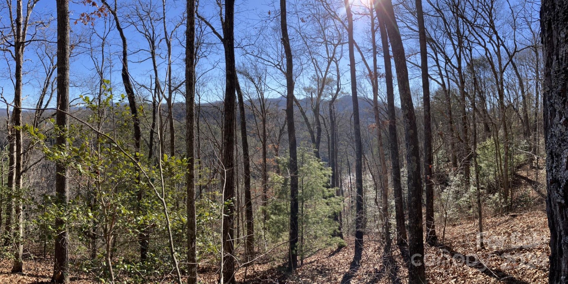 Property image 5 at Lot 4 Osprey Mountain Way, Sylva, NC 28779