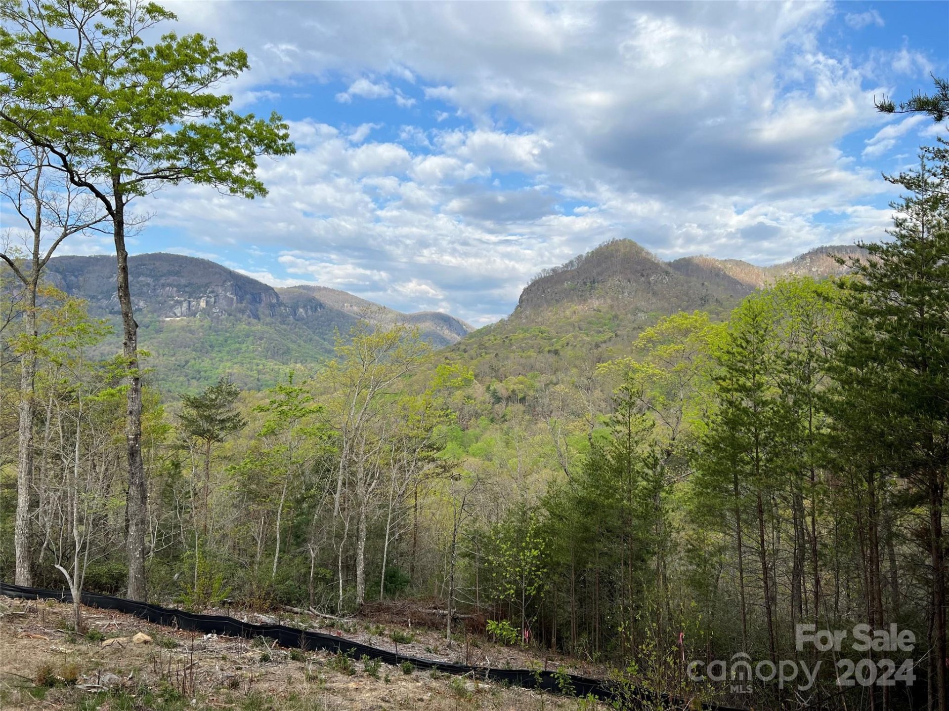 Property image 5 at 156 Kellerman Point, Lake Lure, NC 28746
