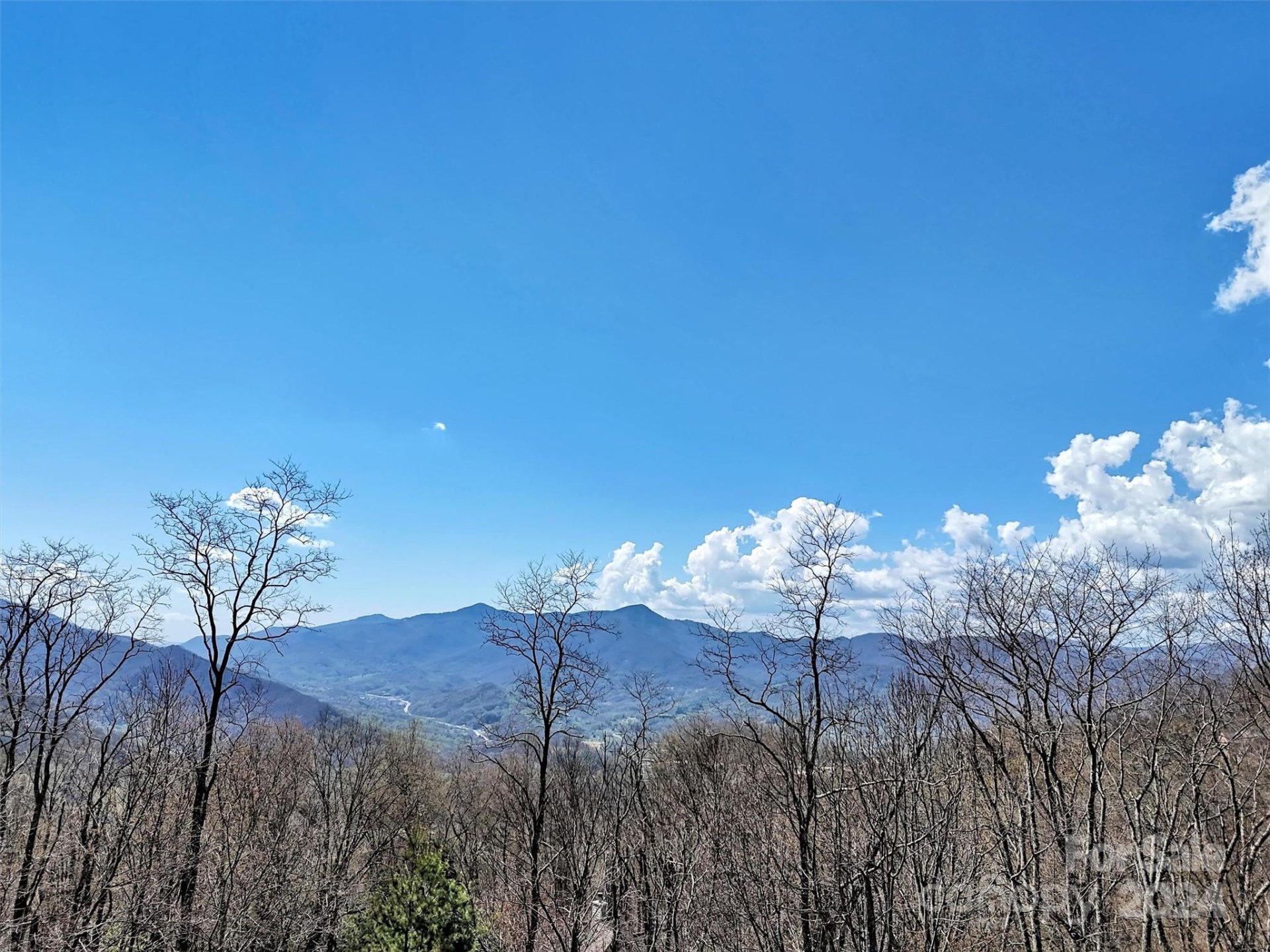 Property image 5 at 155 Twisted Trail, Waynesville, NC 28786