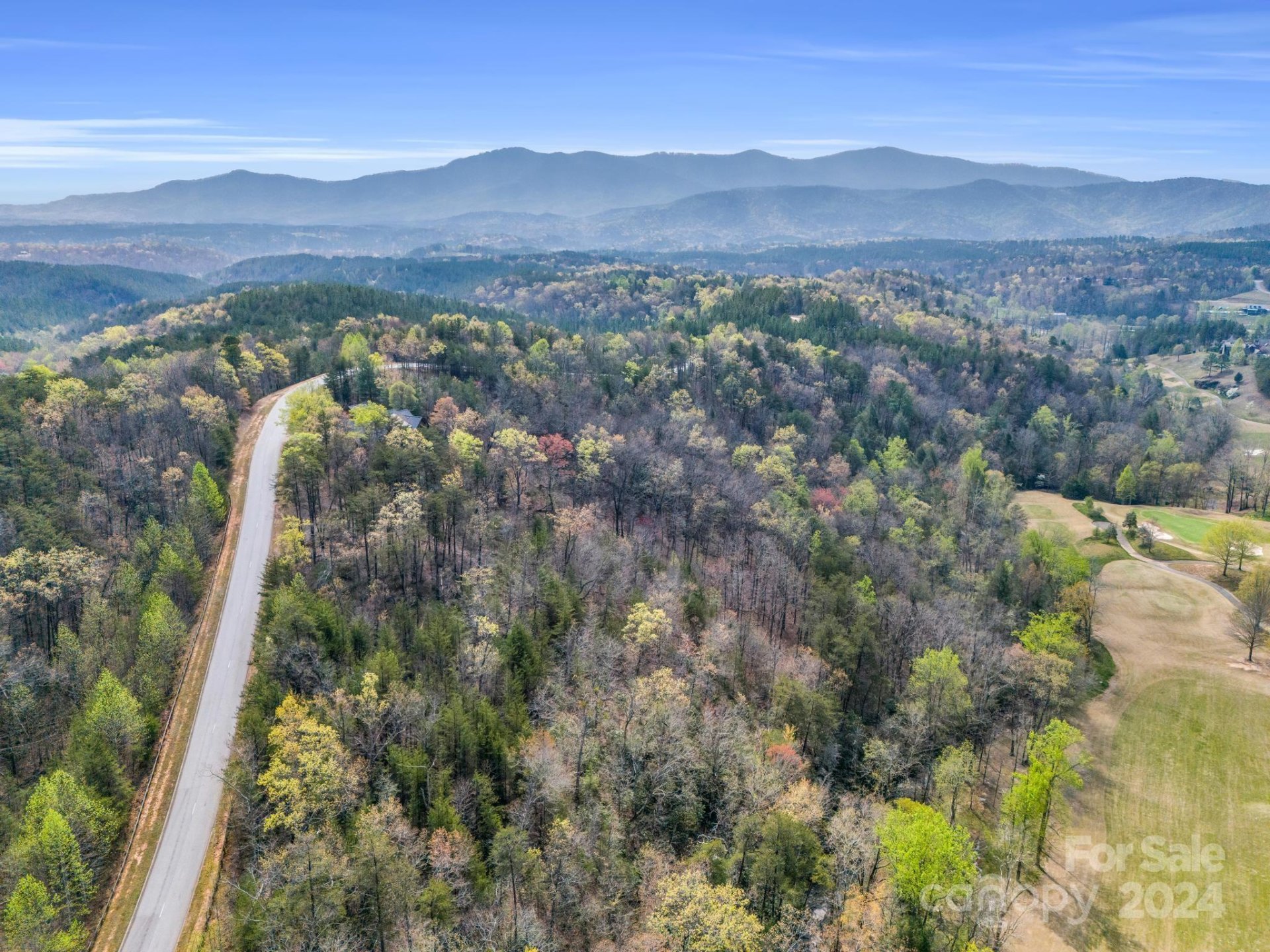 Property image 4 at 0 Deep Gap Farm Road, Mill Spring, NC 28756