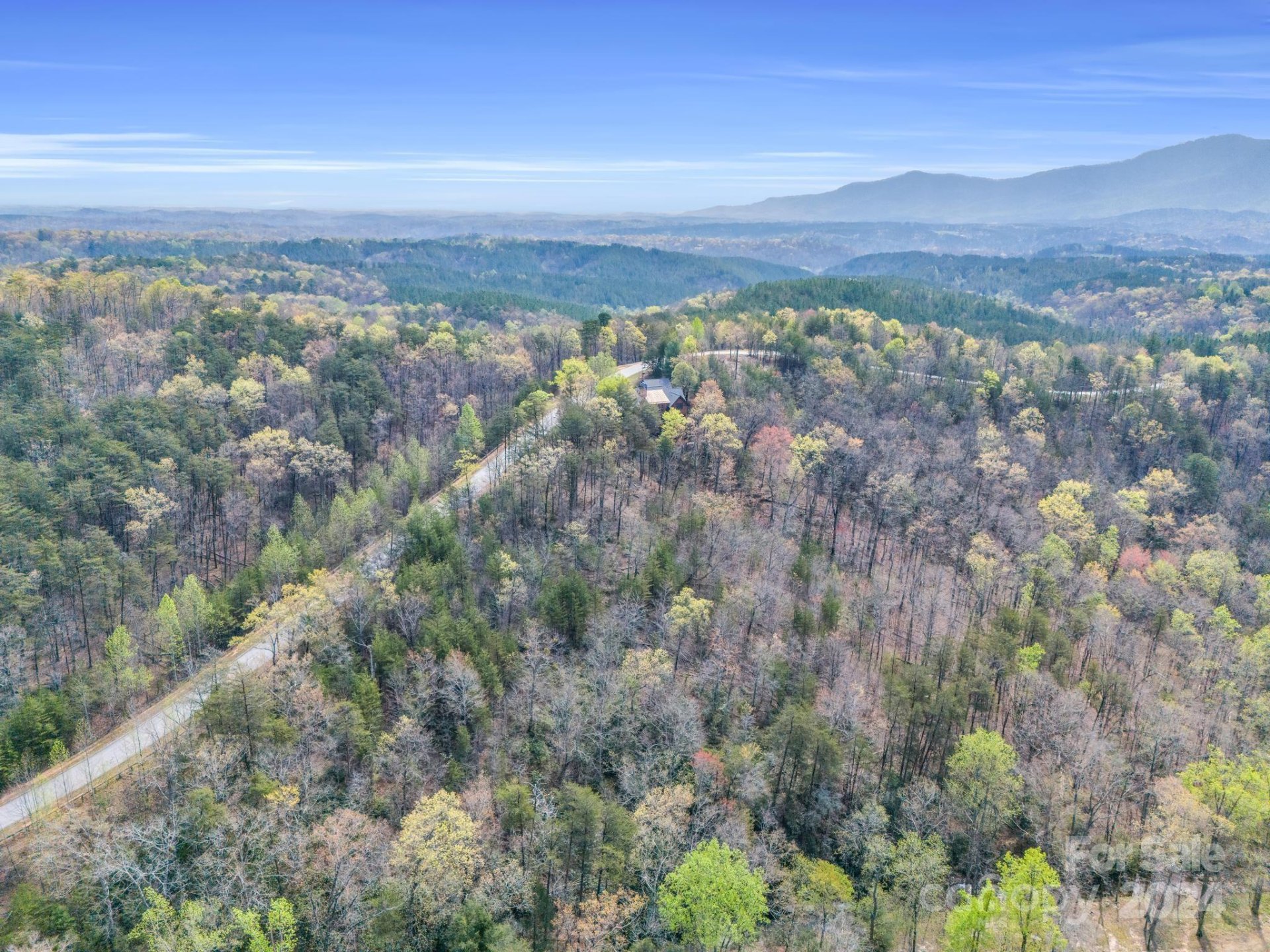 Property image 5 at 0 Deep Gap Farm Road, Mill Spring, NC 28756