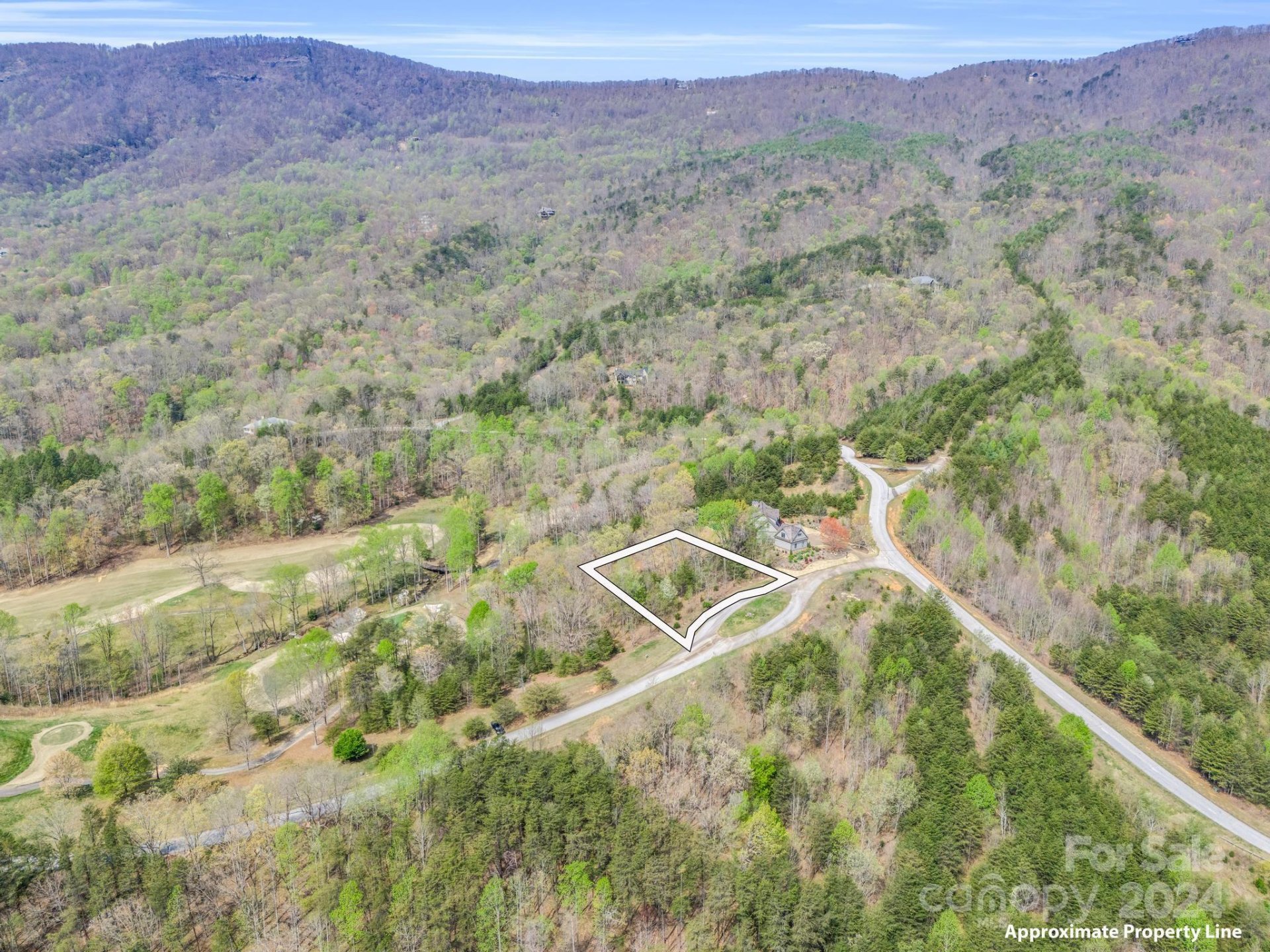Property image 3 at 0 Chestertown Drive, Mill Spring, NC 28756