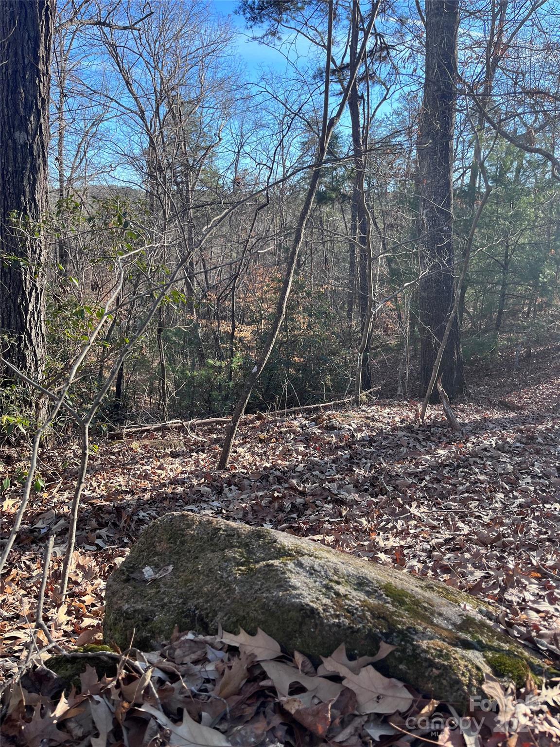 Property image 4 at 0 Sparrows Way, Lake Lure, NC 28746