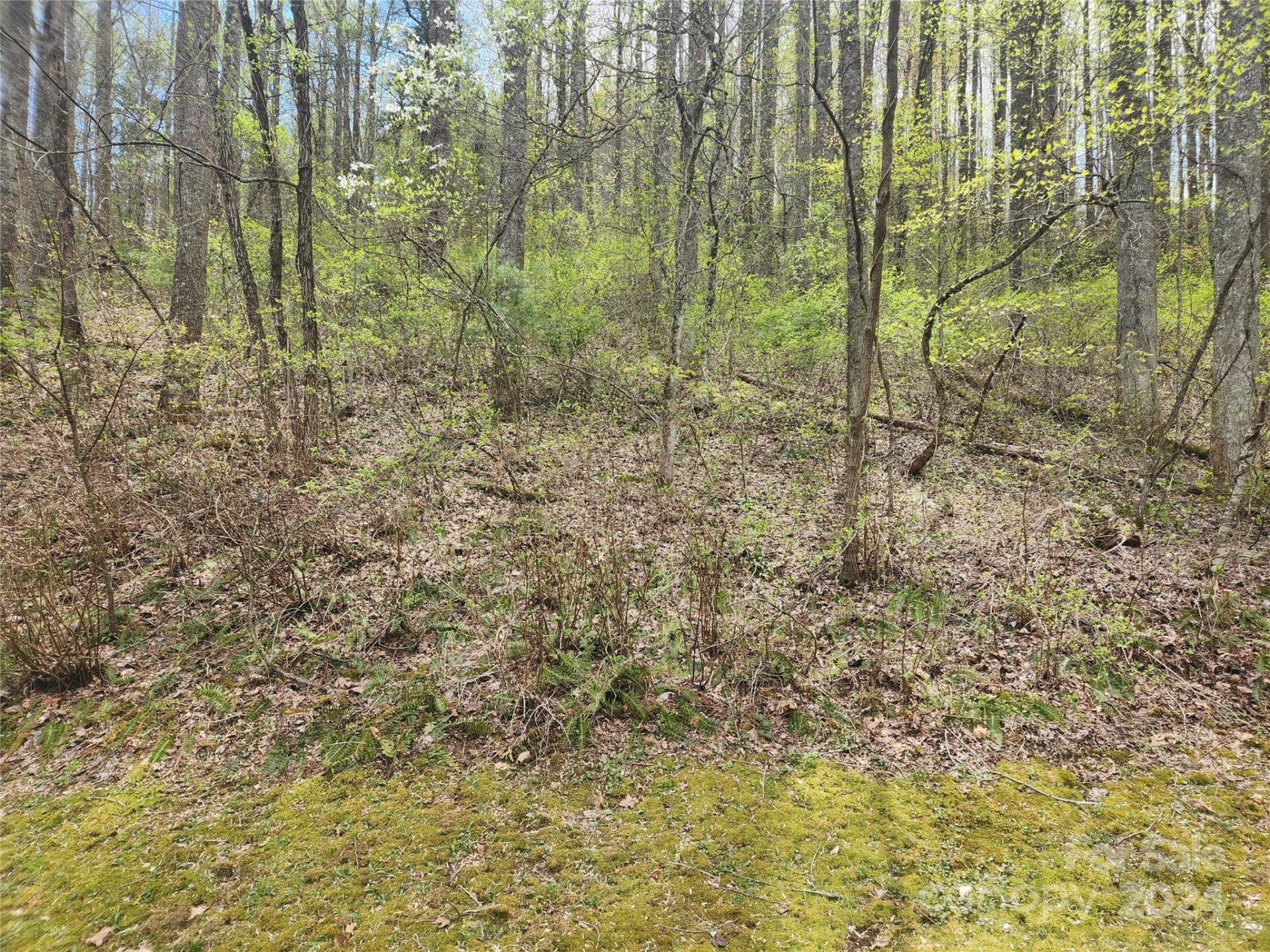 Property image 3 at 573 Solomon Circle, Hendersonville, NC 28739