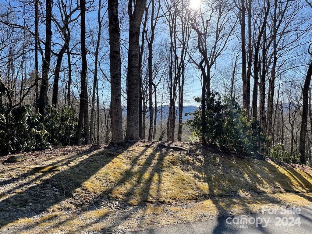 Property image 1 at Tbd Tsuganawvi Court, Brevard, NC 28712
