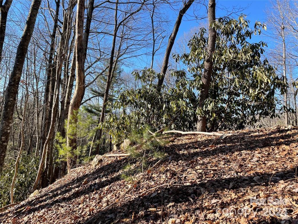 Property image 3 at Tbd Tsuganawvi Court, Brevard, NC 28712
