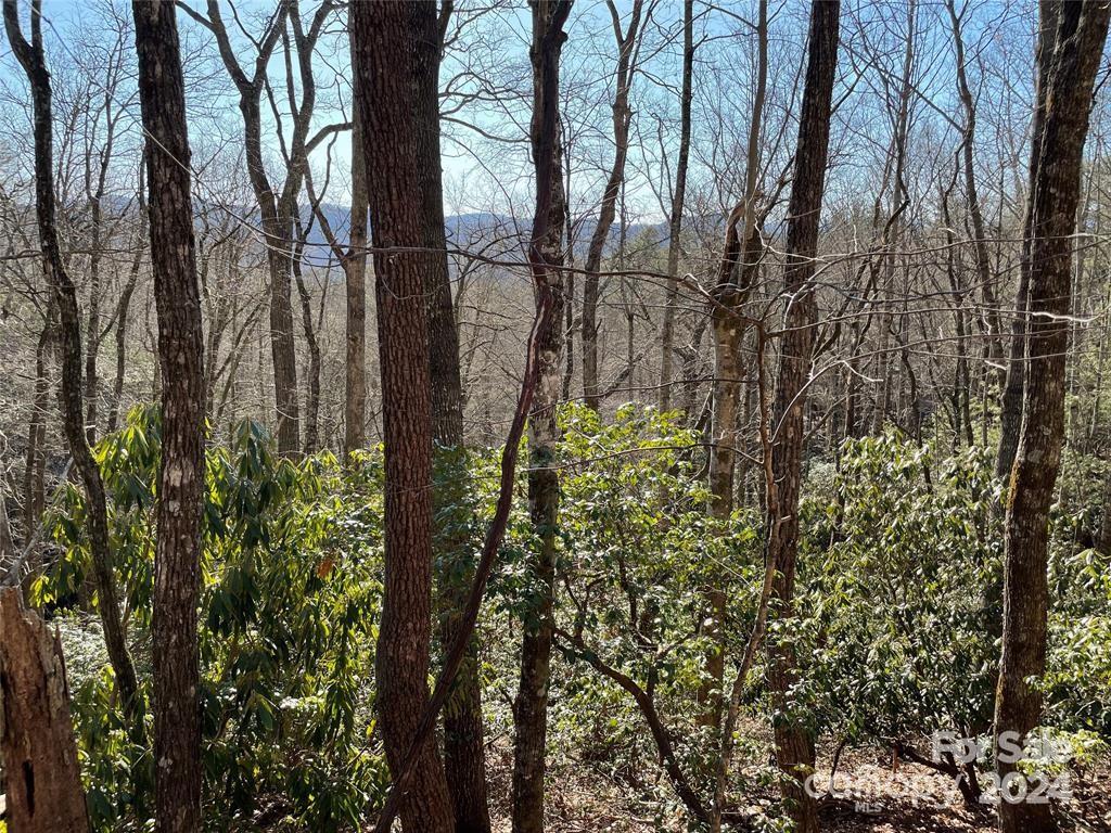 Property image 5 at Tbd Tsuganawvi Court, Brevard, NC 28712