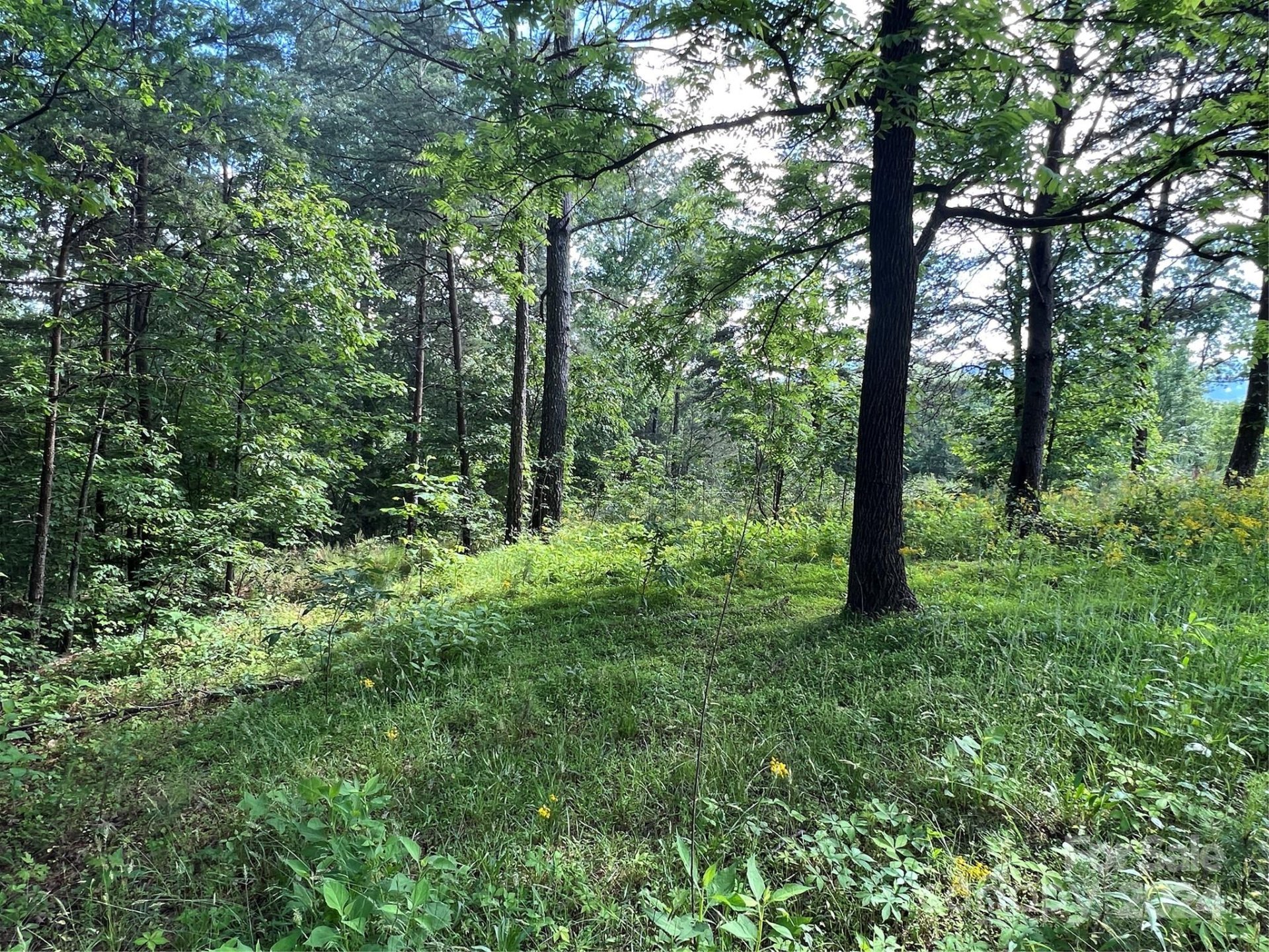 Property image 2 at 223 Lot 13 Easy Street, Lake Lure, NC 28746