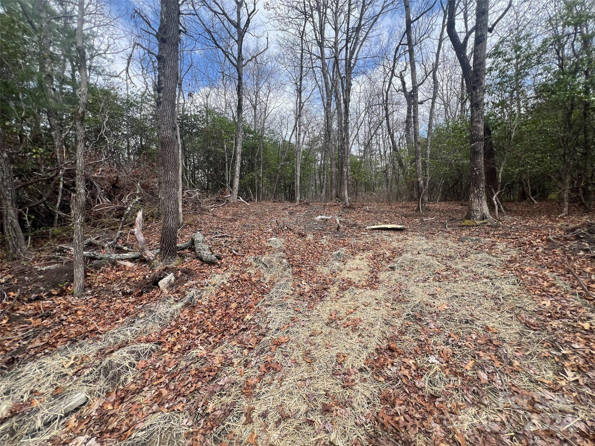 Property at 999 Mulberry Circle, Brevard, NC 28712