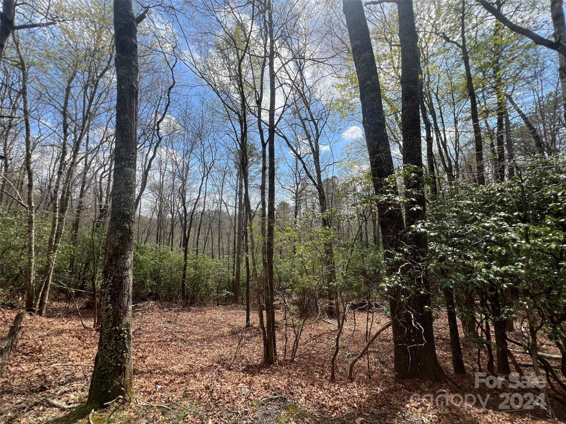 999 Sequoyah Woods Drive