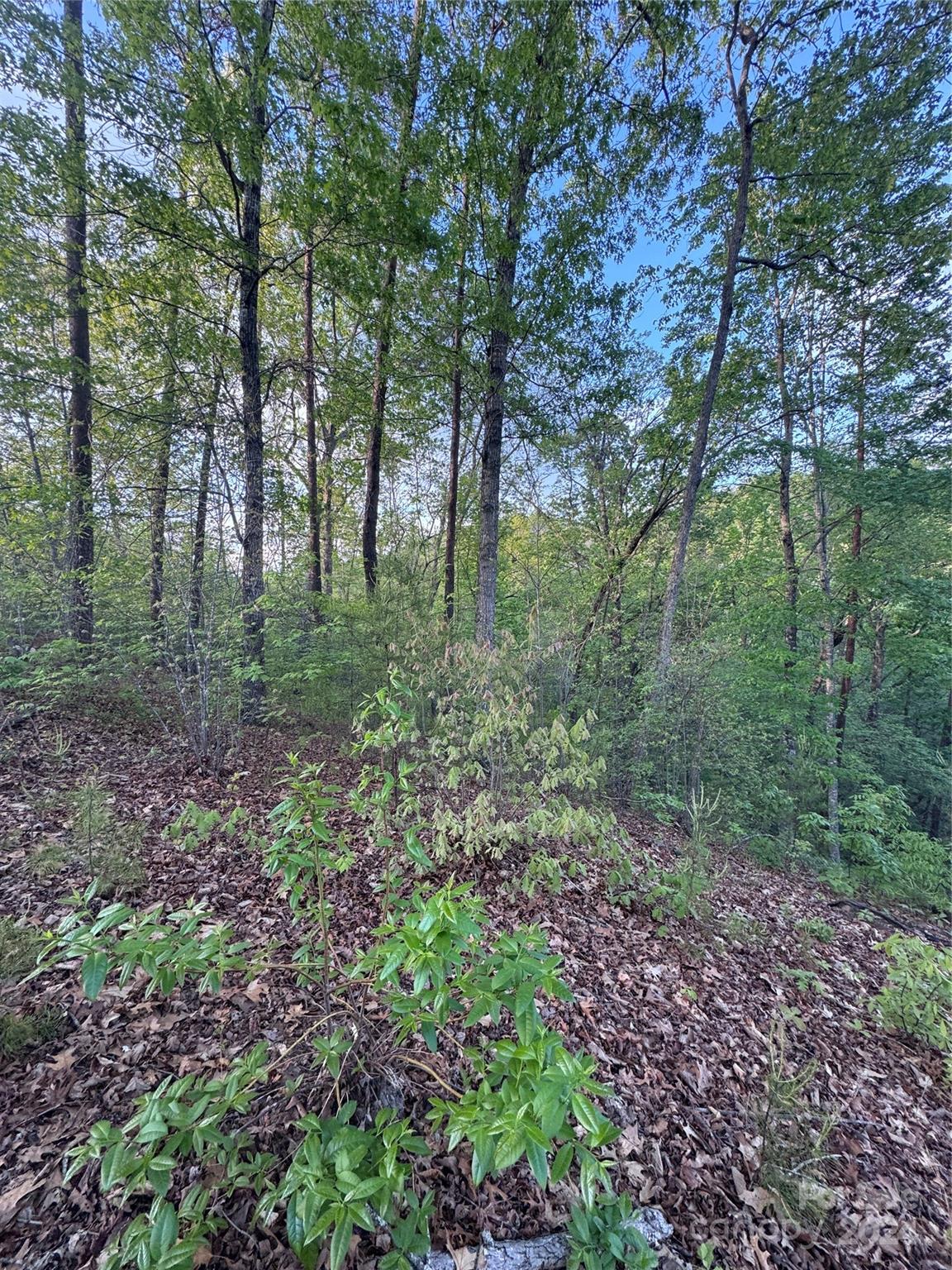 Property image 2 at 0 Willow Top Lane, Lake Lure, NC 28746