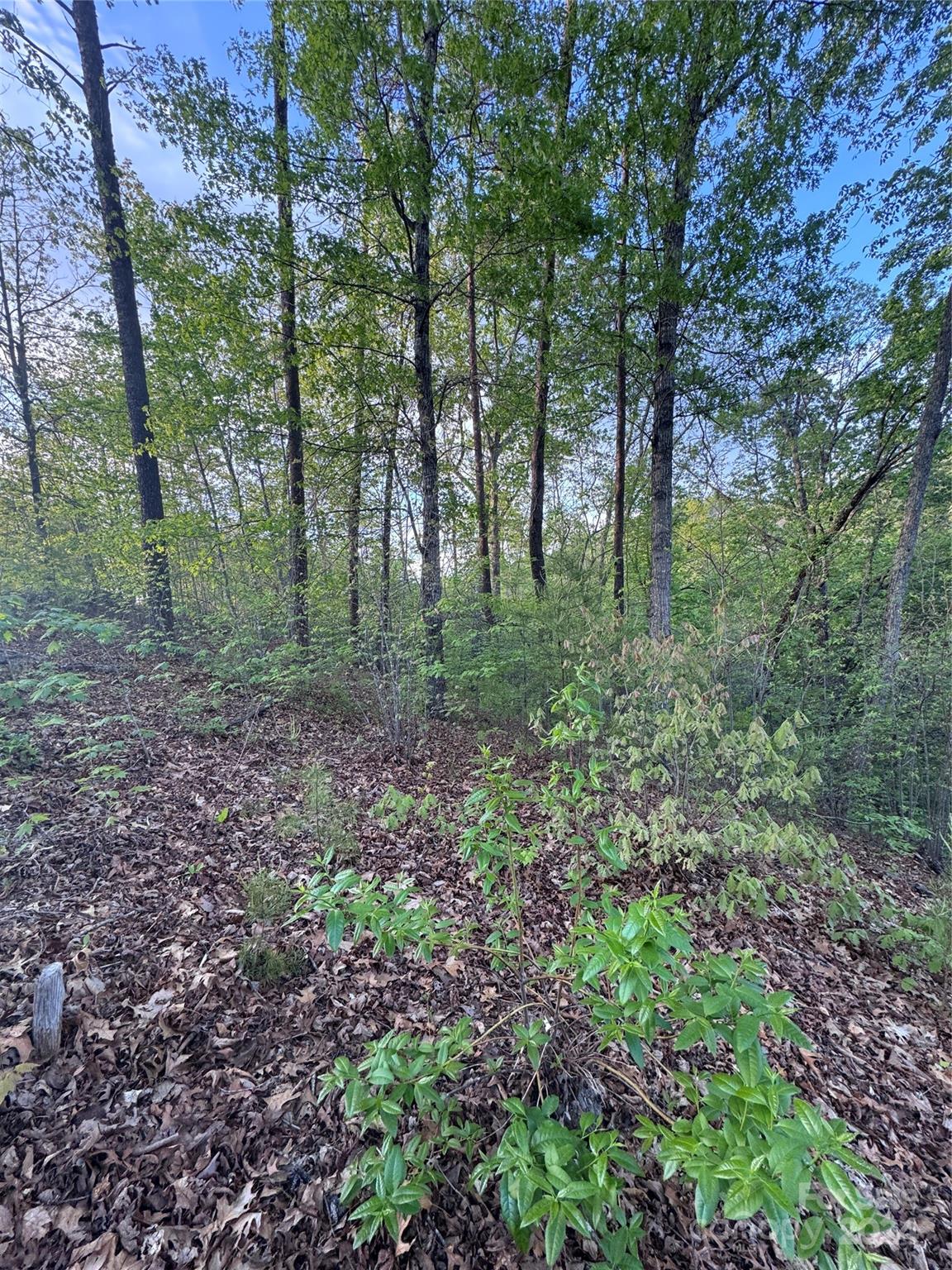 Property image 3 at 0 Willow Top Lane, Lake Lure, NC 28746