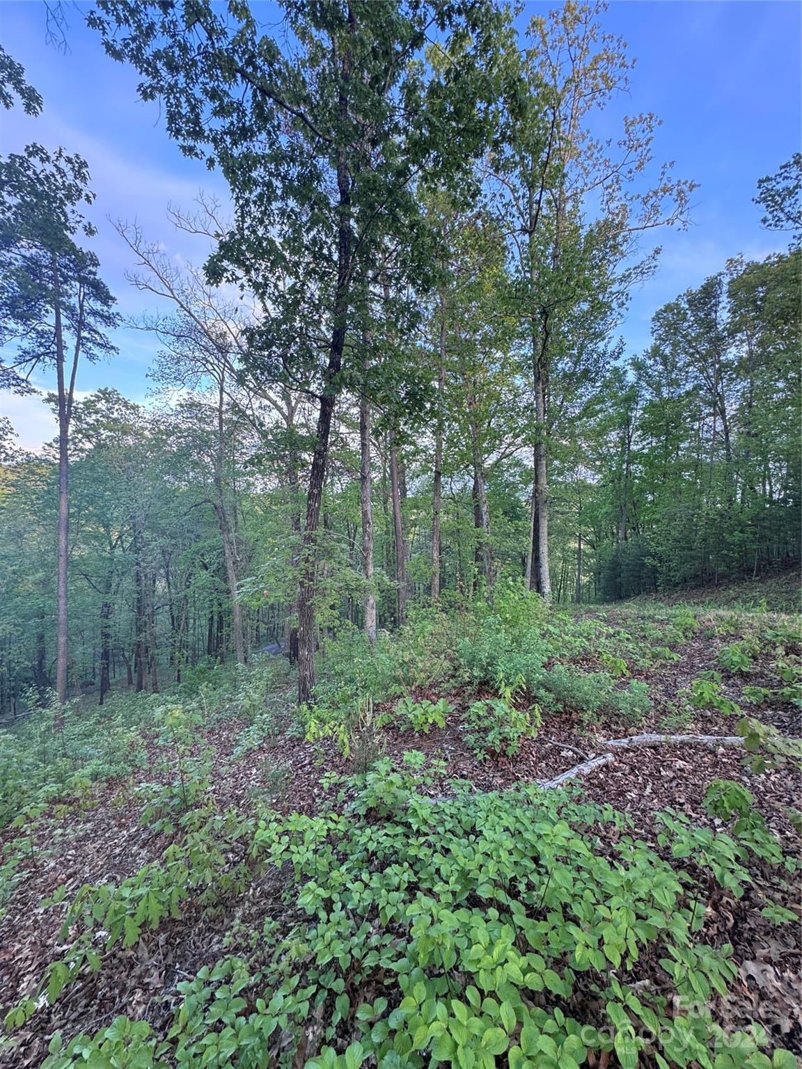 Property image 4 at 0 Willow Top Lane, Lake Lure, NC 28746