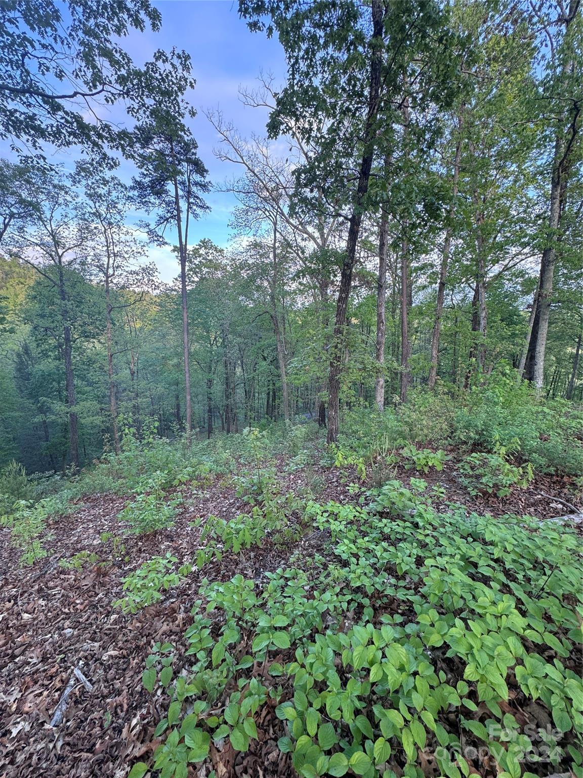 Property image 5 at 0 Willow Top Lane, Lake Lure, NC 28746