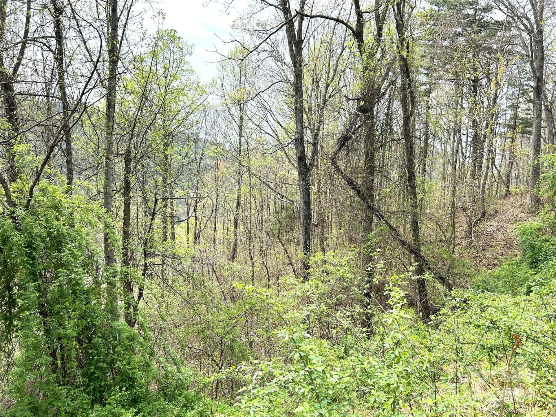 Property image 2 at 16 Waxwing Way, Asheville, NC 28804