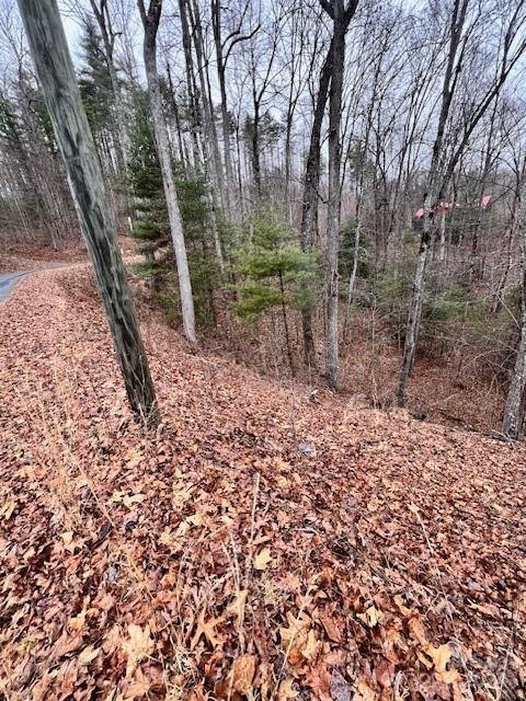 Property image 1 at 40 Bee Gum Ridge, Almond, NC 28702