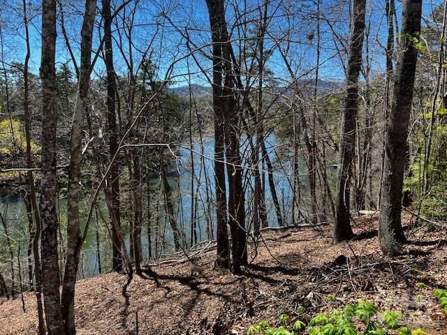 Property image 1 at Lot 18 Summer Lane, Mill Spring, NC 28756