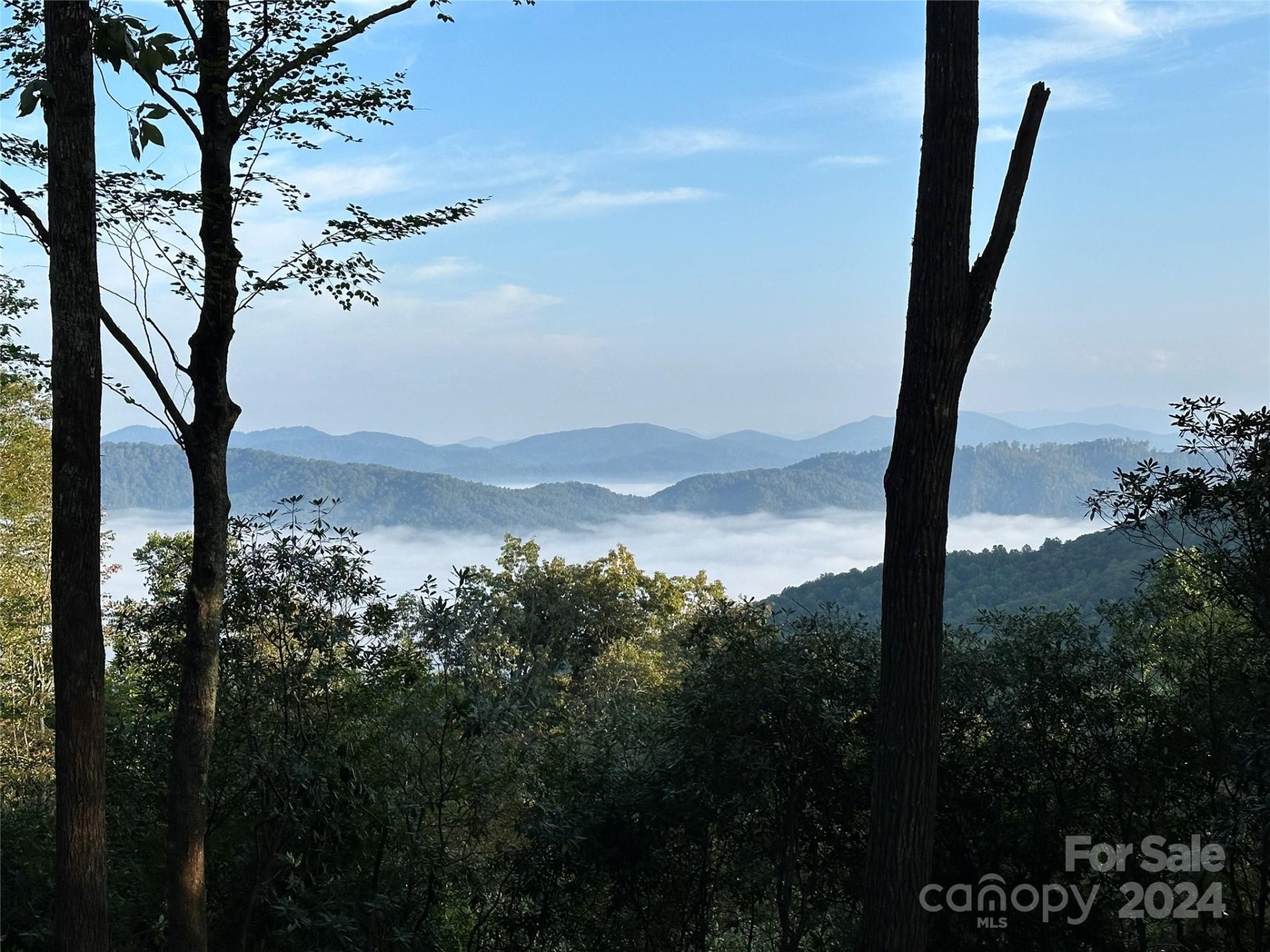 Property image 1 at 0000 Hemlock Grove Trail, Hendersonville, NC 28792