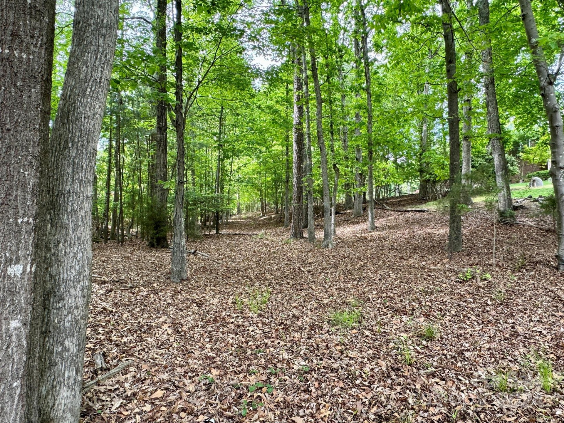 Property image 4 at 5916 Johnson Road, Clover, SC 29710