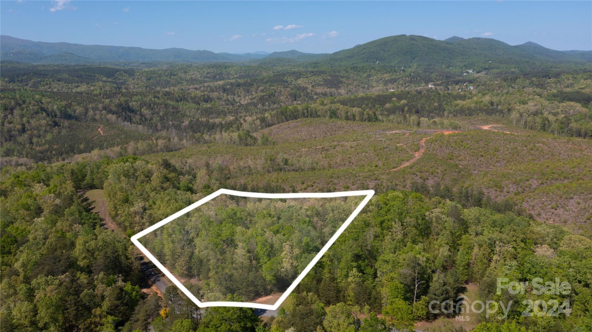 Ole Plantation, Rutherfordton Community