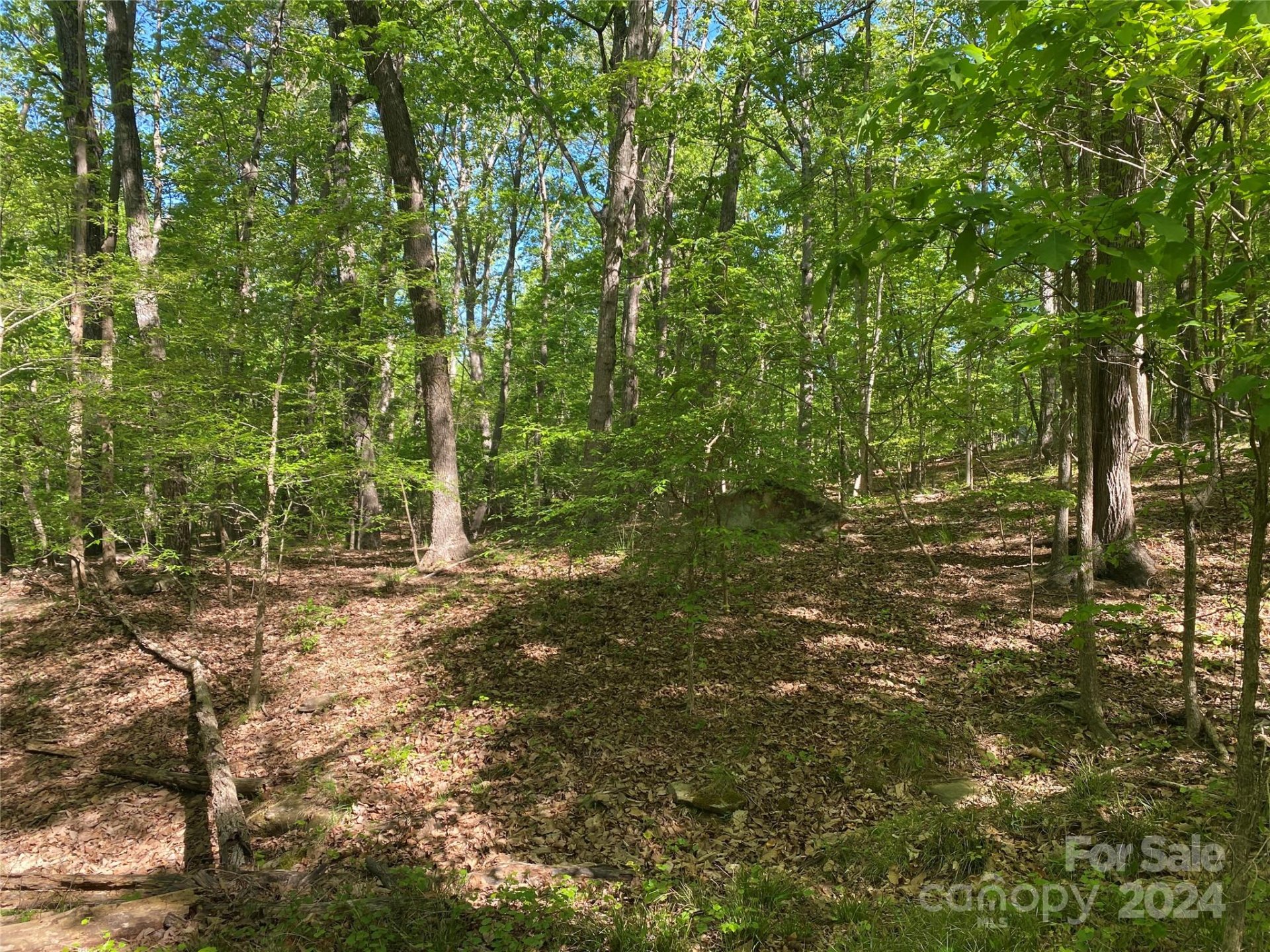 Property image 2 at 104 Tomahawk Court, Westminster, SC 29693