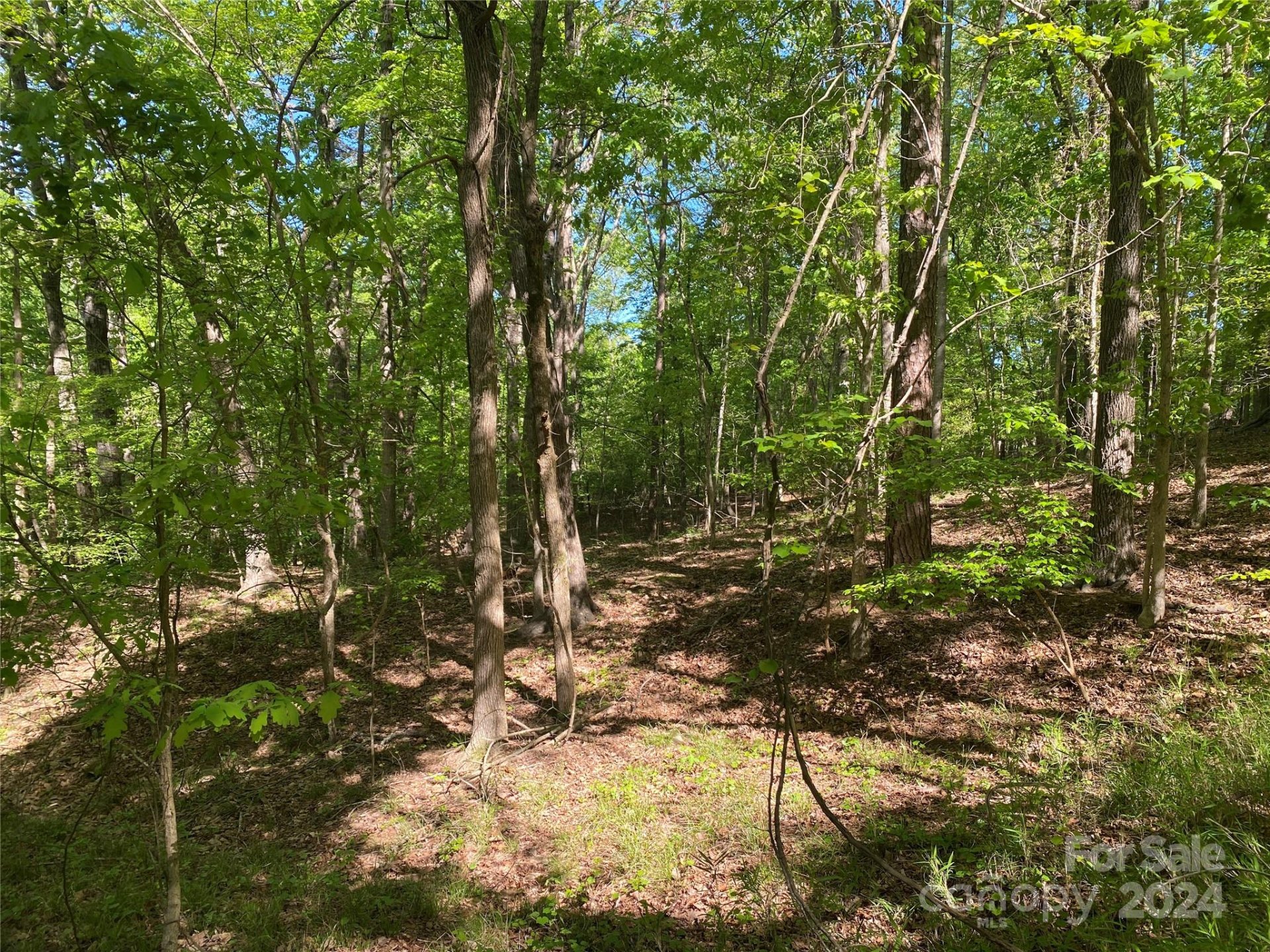 Property image 3 at 104 Tomahawk Court, Westminster, SC 29693