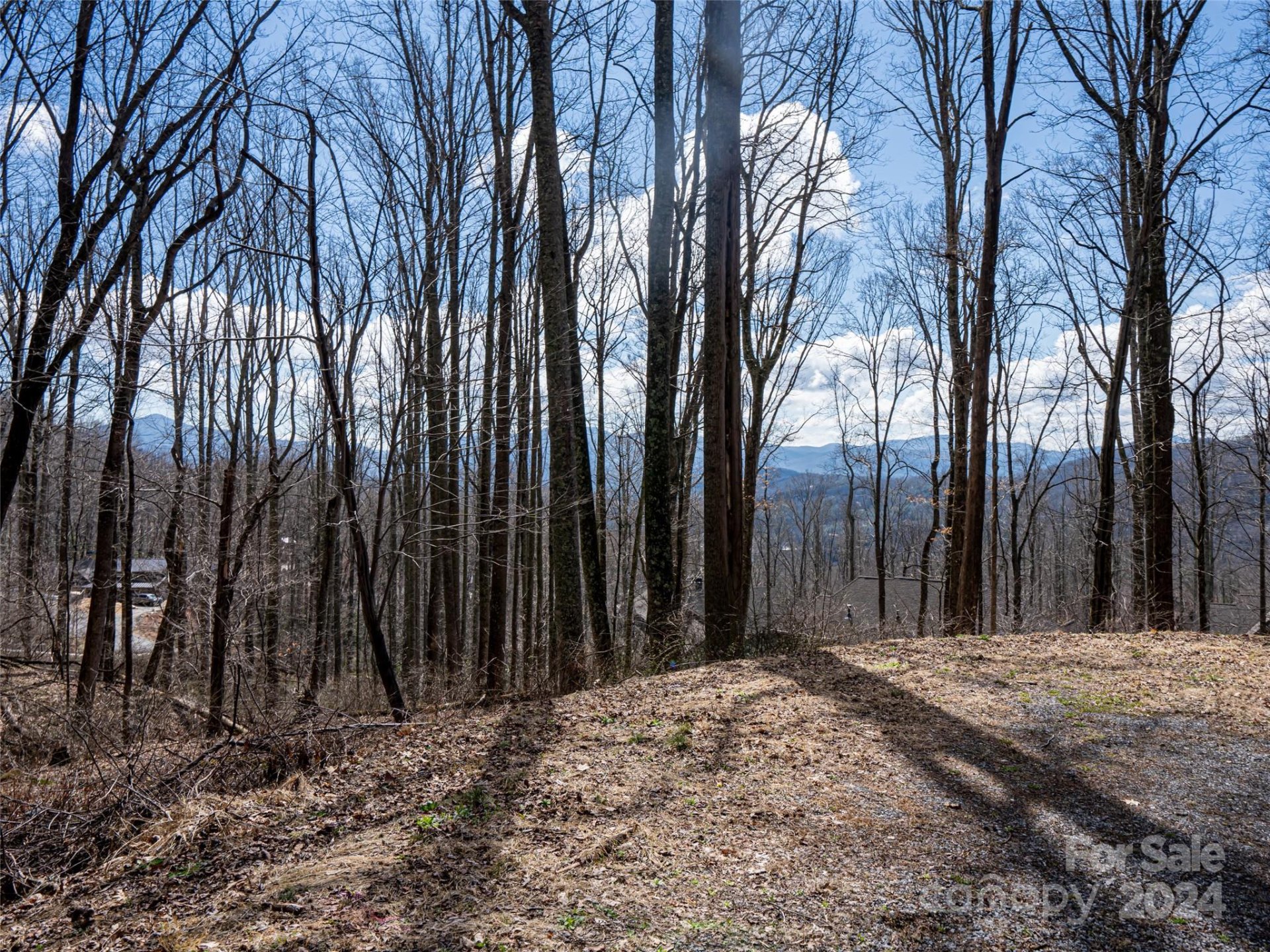 Property image 1 at 17 Twin Springs Court, Fairview, NC 28730