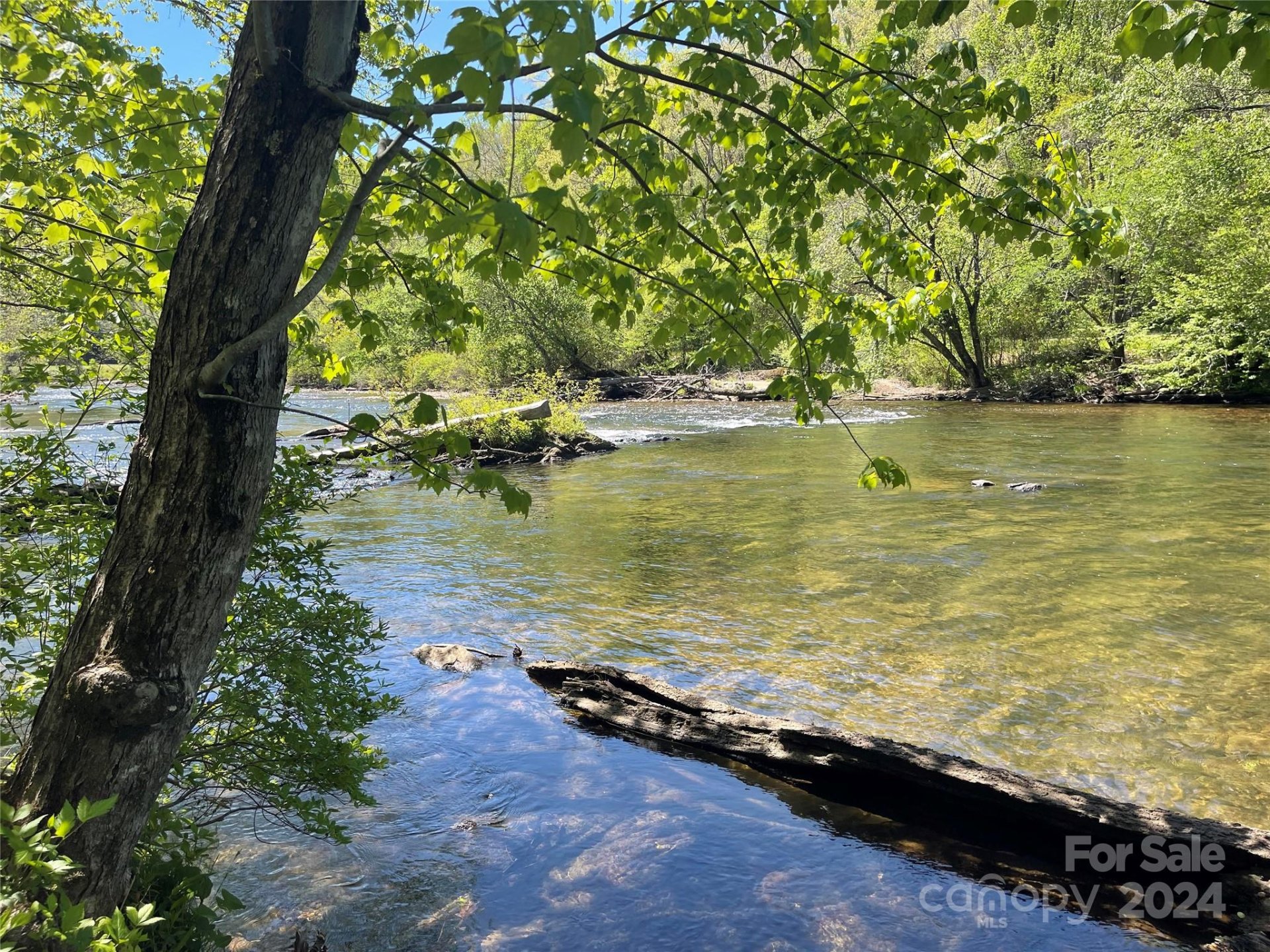 346 River Club Drive