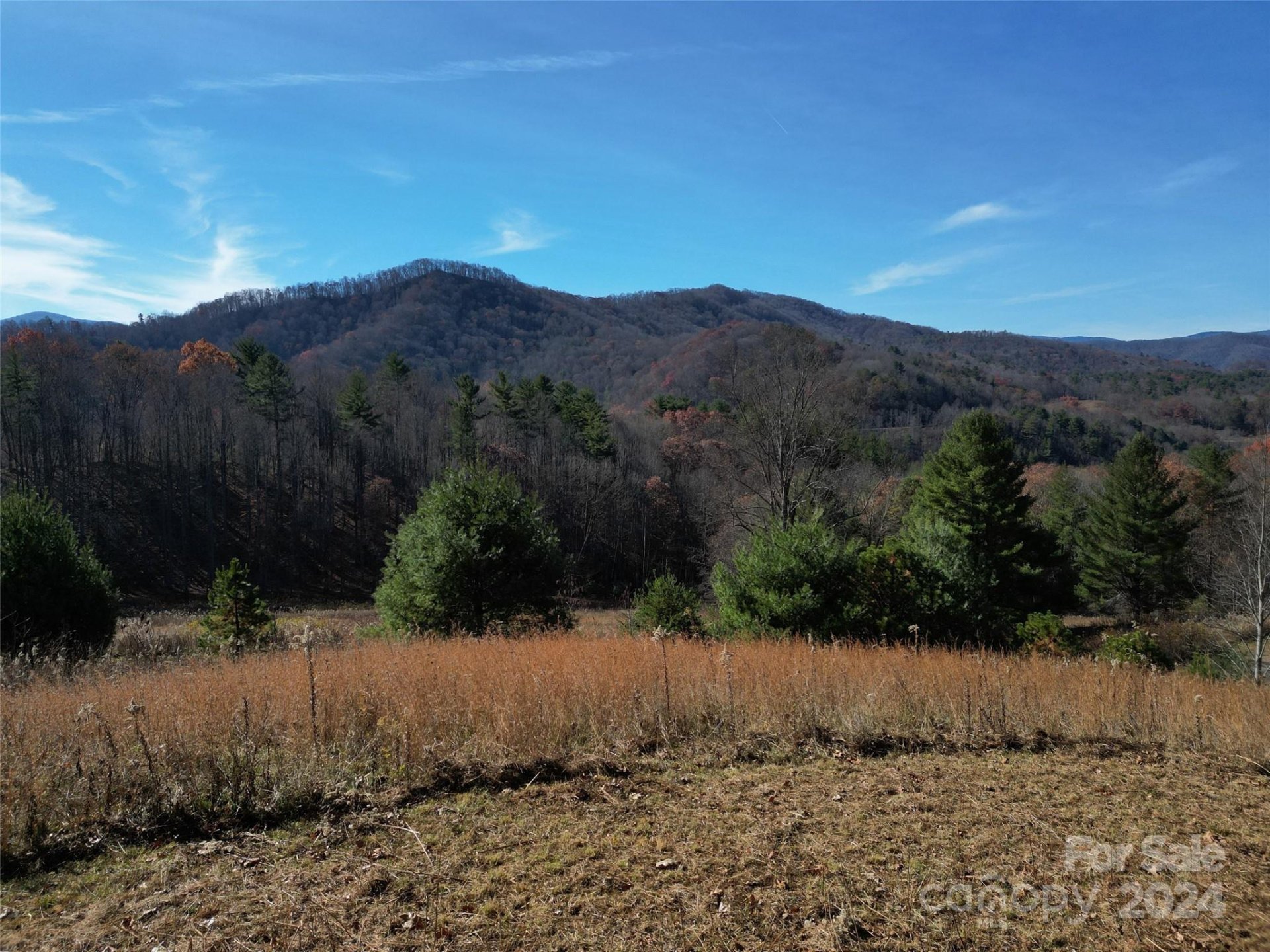 Property image 1 at 20 Dream Valley Drive, Clyde, NC 28721