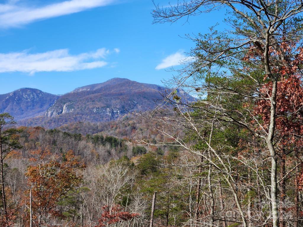 Property image 1 at 0 Sparrows Way, Lake Lure, NC 28746