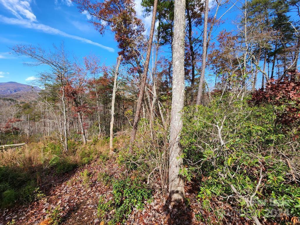 Property image 2 at 0 Sparrows Way, Lake Lure, NC 28746