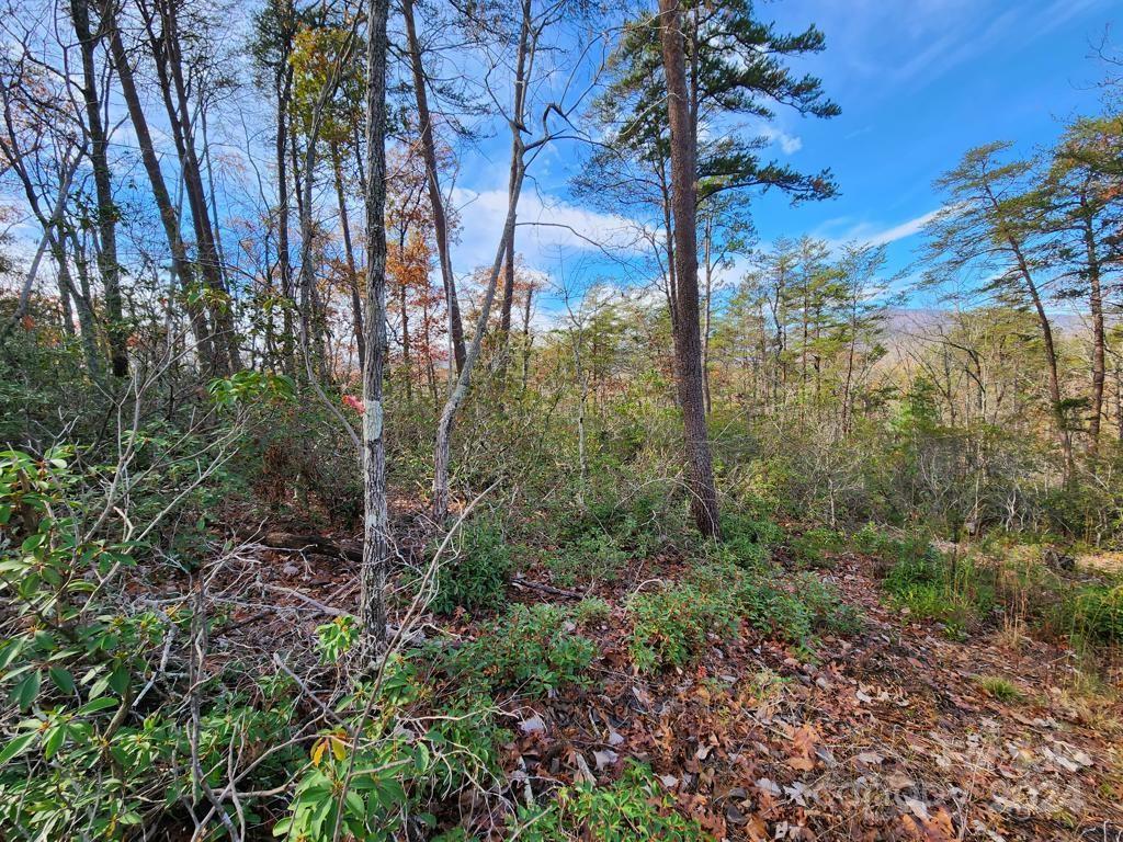 Property image 3 at 0 Sparrows Way, Lake Lure, NC 28746