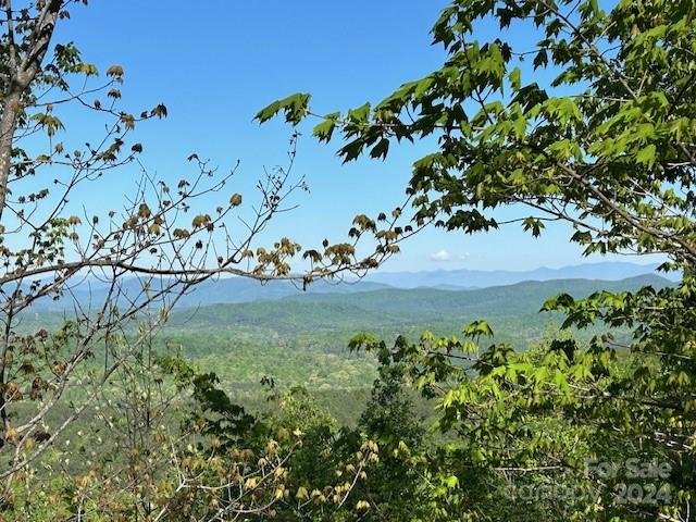 Property image 3 at 0 Arbra Mountain Way, Bostic, NC 28018