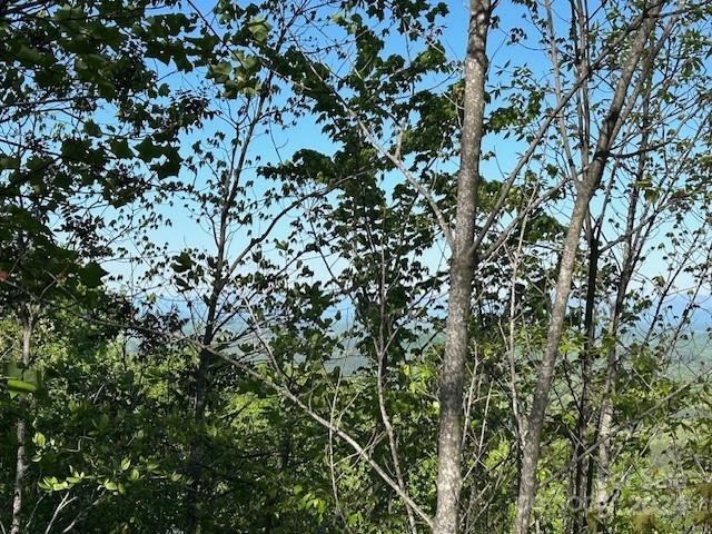 Property image 4 at 0 Arbra Mountain Way, Bostic, NC 28018