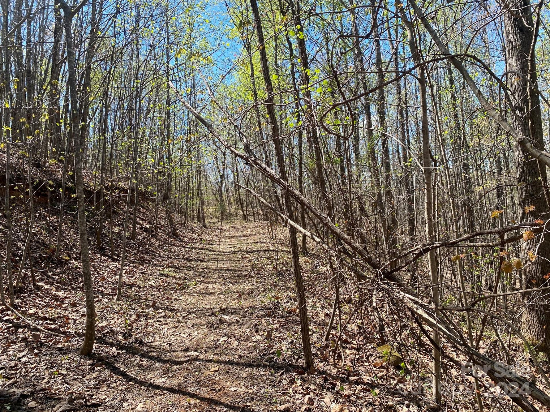 Property at Lots 8 9 Wild Horse Drive, Nebo, NC 28761