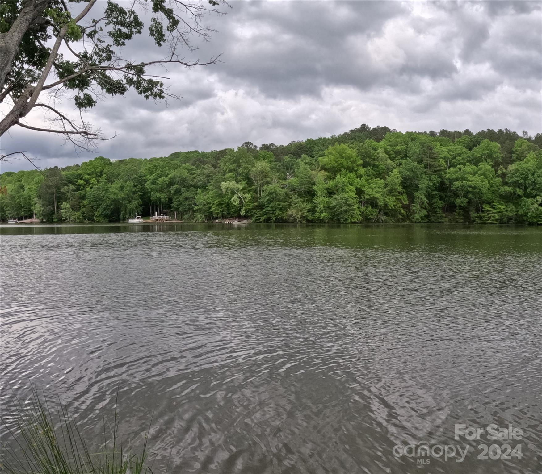 Property image 2 at 3111 Catawba Road, Great Falls, SC 29055