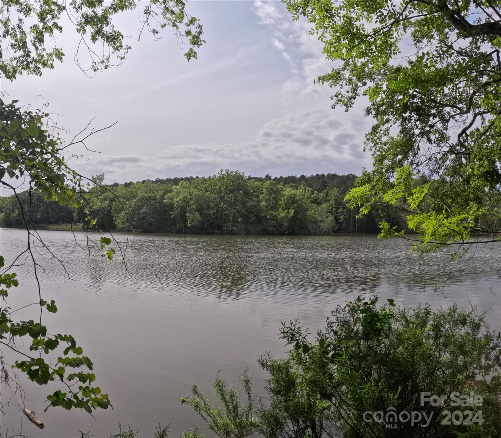 Property image 4 at 3111 Catawba Road, Great Falls, SC 29055