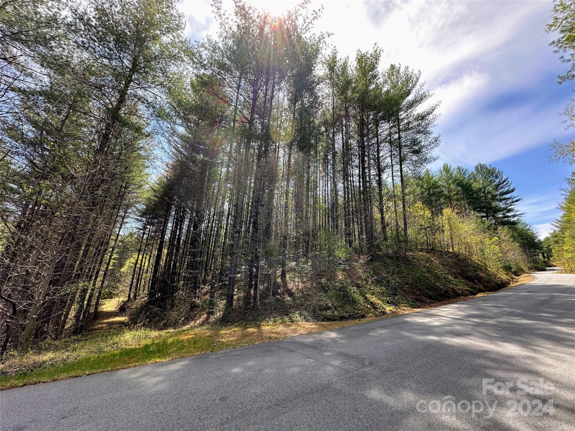 Property image 3 at 0 National Forest Drive, Lenoir, NC 28645