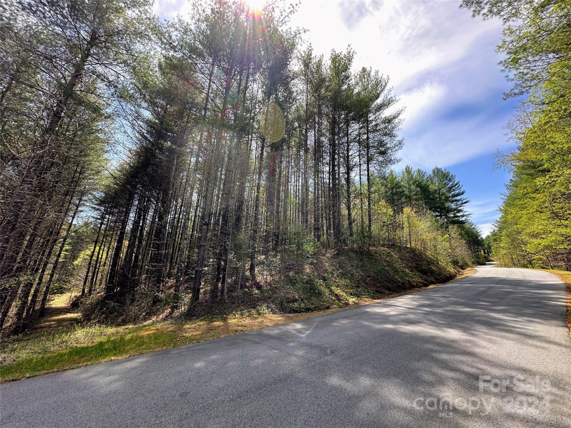 Property image 4 at 0 National Forest Drive, Lenoir, NC 28645