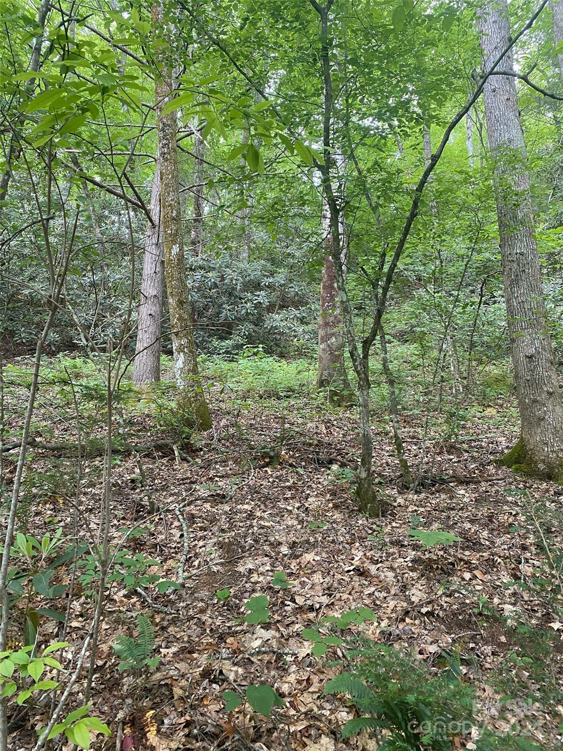Property image 3 at 0 Cedar Creek Road, Lake Lure, NC 28746