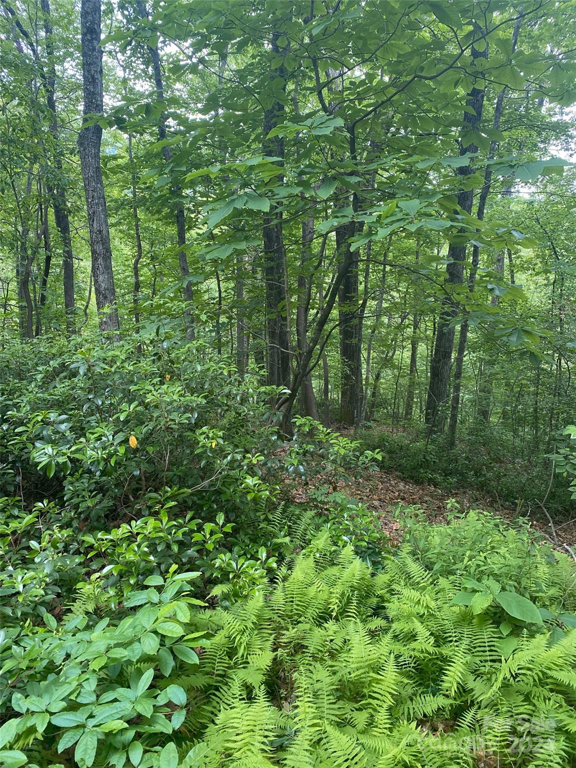 Property image 5 at 0 Cedar Creek Road, Lake Lure, NC 28746