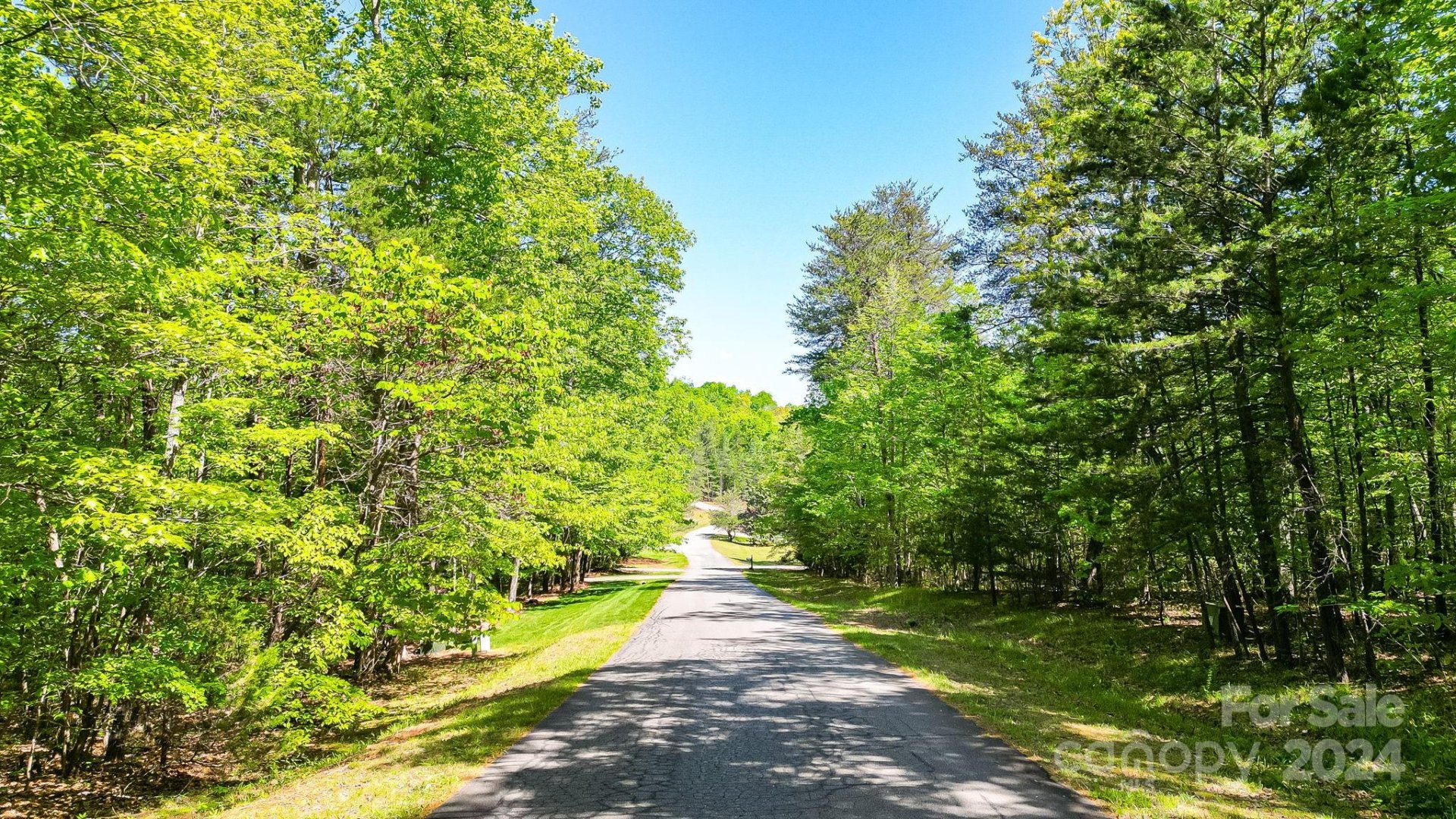 Property at 0 W T Wilkins Road, Rutherfordton, NC 28139