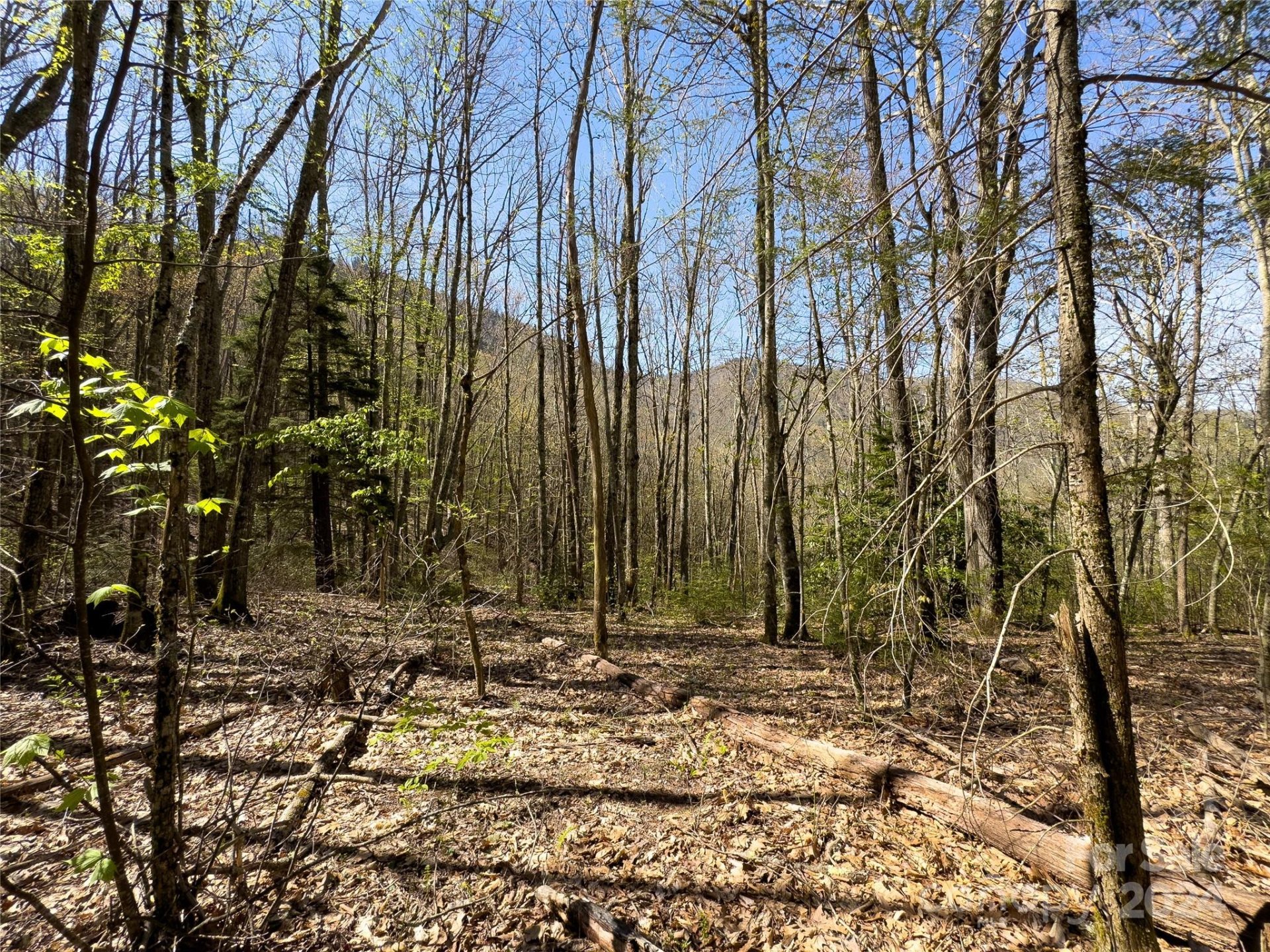 Property image 1 at Lot 80 Shangri Lane, Qualla, NC 28719