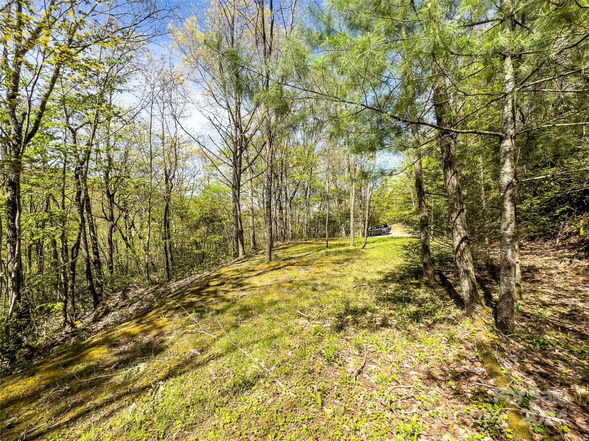 Property at 2414 Black Rock Road, Qualla, NC 28719