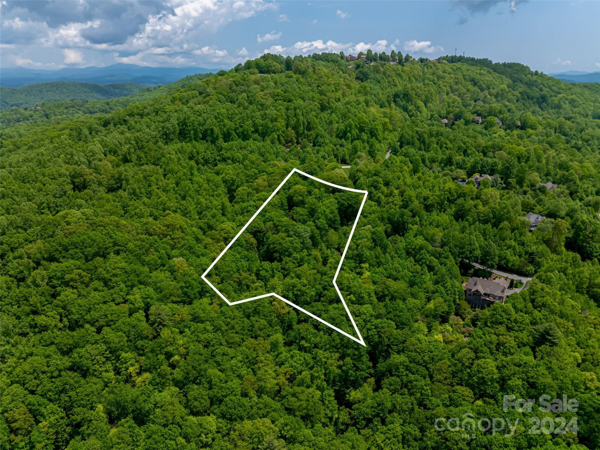 Property image 5 at 185 Crossvine Trail, Hendersonville, NC 28739